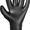 Reusch Fastgrip Infinity