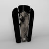 black-and-white-lion-sx PARASTINCHI Black and White LION Protect your Talent