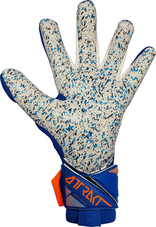 Reusch Attrakt Freegel Fusion Goaliator 5670995 4129 blue back Attrakt Freegel Fusion Goaliator