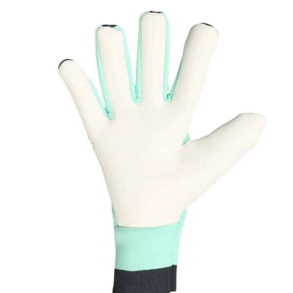 ADIDAS Predator Pro GL Black and Green